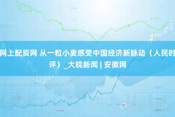 网上配资网 从一粒小麦感受中国经济新脉动（人民时评）_大皖新闻 | 安徽网